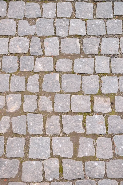 Oude grijze bestrating in een patroon in een oude middeleeuwse Europese stad. — Stockfoto