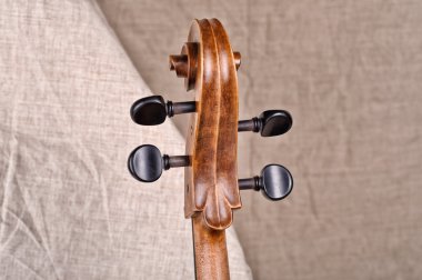 Çello Başkanı yakın çekim