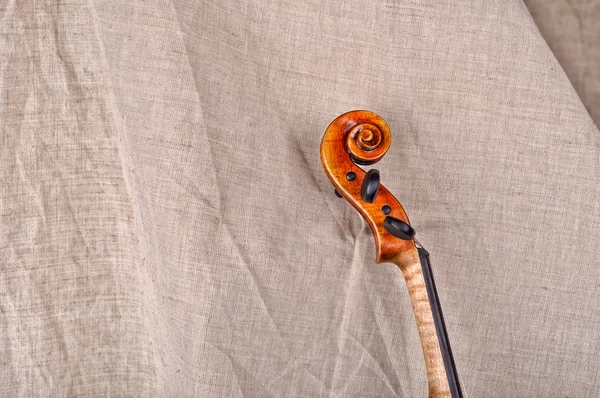 Close up of the head of a violin — Stock Photo, Image