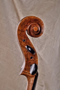 Çello Başkanı yakın çekim