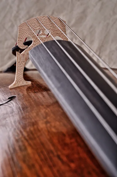 Close up of a violoncello isolated on beige background — Stock Photo, Image