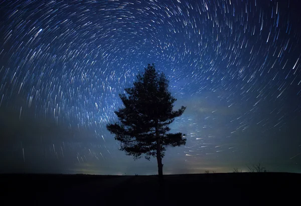 Красивое ночное небо, Млечный Путь, спиральные звездные тропы и деревья — стоковое фото