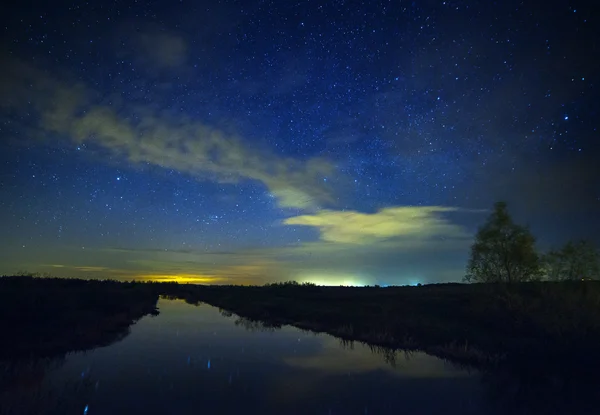 Um belo céu noturno, a Via Láctea e as árvores — Fotografia de Stock