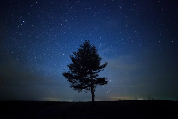 Un hermoso cielo nocturno, la Vía Láctea y los árboles — Foto de Stock