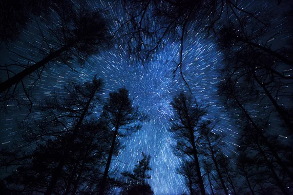 Un bel cielo notturno, la Via Lattea e gli alberi — Foto Stock