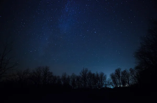 Um belo céu noturno, a Via Láctea e as árvores — Fotografia de Stock