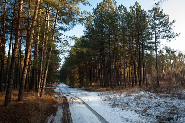 Puesta de sol en un bosque de invierno y carretera — Foto de Stock
