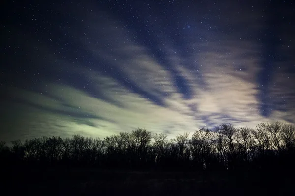 Un hermoso cielo nocturno, la Vía Láctea y los árboles — Foto de Stock