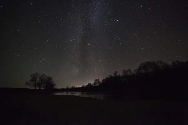 Un hermoso cielo nocturno, la Vía Láctea y los árboles — Foto de Stock