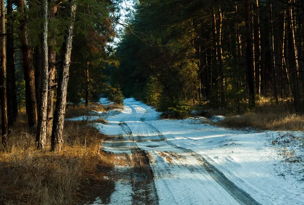 Puesta de sol en un bosque de invierno y carretera — Foto de Stock