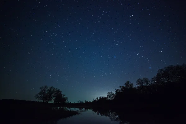 Güzel bir gece gökyüzü, Samanyolu ve ağaçlar — Stok fotoğraf