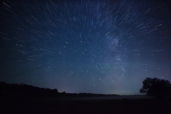 Un hermoso cielo nocturno, la Vía Láctea, senderos estelares y los árboles —  Fotos de Stock