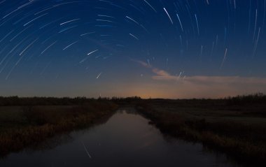 Güzel bir gece gökyüzü, sarmal star yollar ve orman