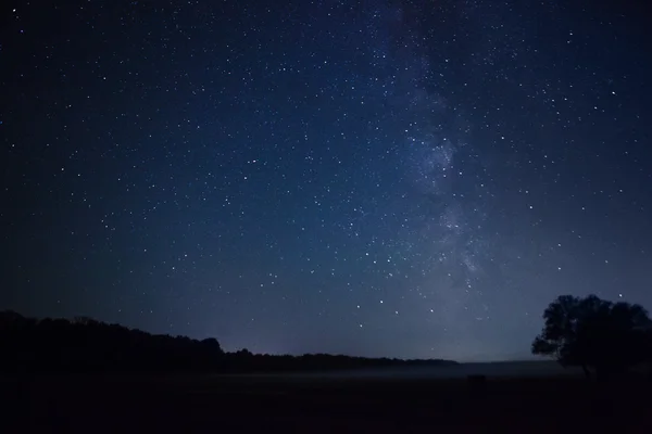 Güzel bir gece gökyüzü, Samanyolu ve ağaçlar — Stok fotoğraf