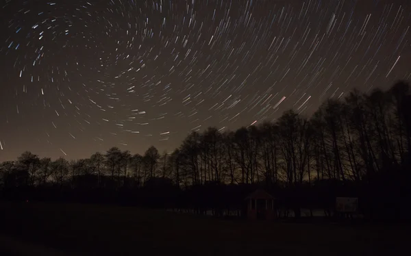 美しい夜空、スパイラル スター トレイルと森 — ストック写真