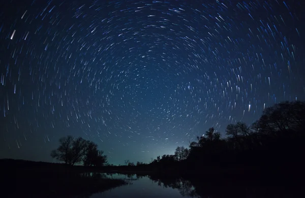 美しい夜空、天の川、星の軌跡と木 — ストック写真