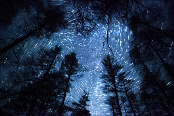 Hermoso cielo nocturno, senderos espirales de estrellas y el bosque Imagen De Stock