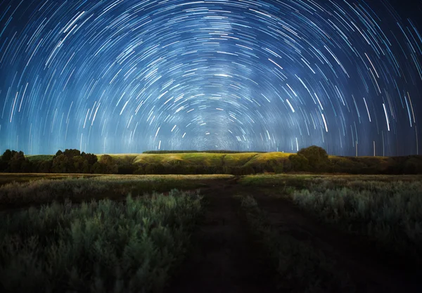 美丽的夜空、 银河、 星迹和树木 免版税图库照片