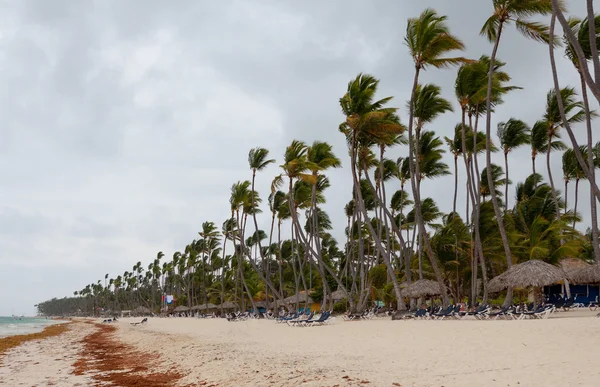 Ouragan sur la plage Photo De Stock