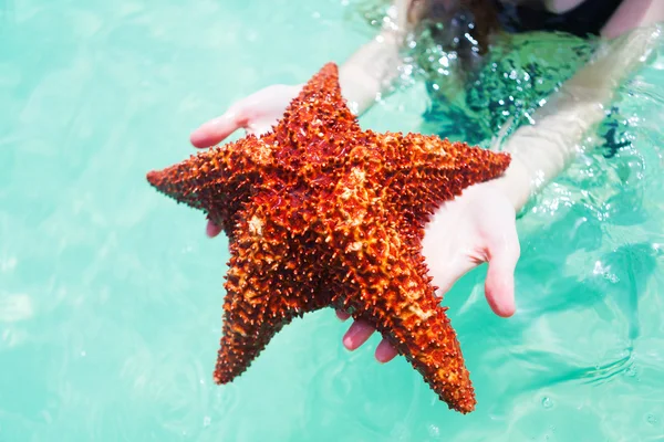 stock image starfish in his hand