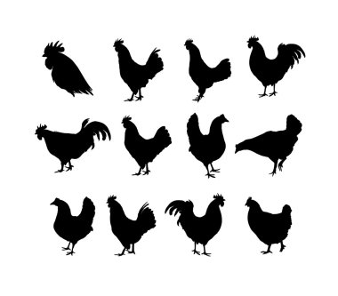 Horoz ve tavuk siluetleri 