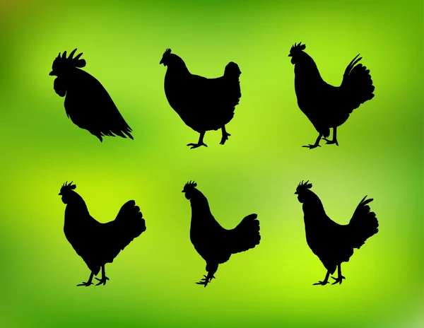 Set of rooster silhouettes — Stock Vector