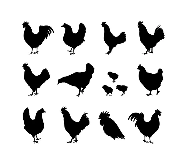 Sada kohout a kuřecí masíčka siluety — Stockový vektor