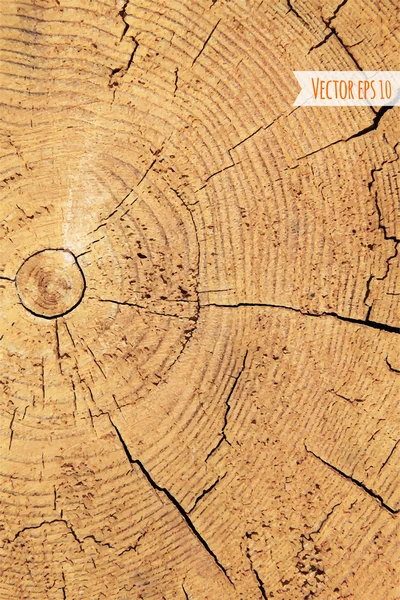 木の質感背景 — ストックベクタ