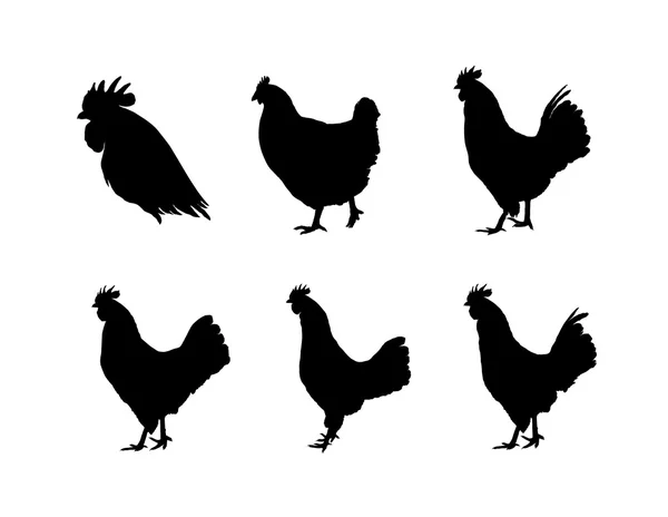 Set of rooster silhouettes — Stock Vector