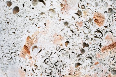 Kabuk kaya kireç taşı dokusu arka plan. Doğal taş arkaplan.