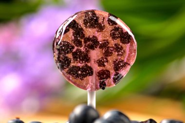 . Beyaz ahşap arka planda doğal kurutulmuş duttan yapılmış ev yapımı lolipoplar. Şekersiz sağlıklı vejetaryen yemeği..