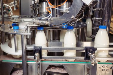 Fabrikadaki plastik şişelere süt dolduruyor. Süt ürünleri fabrikasında.