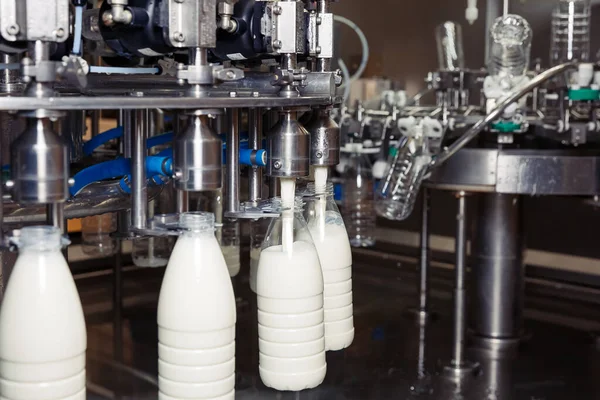 Fabrikadaki plastik şişelere süt dolduruyor. Süt ürünleri fabrikasında.