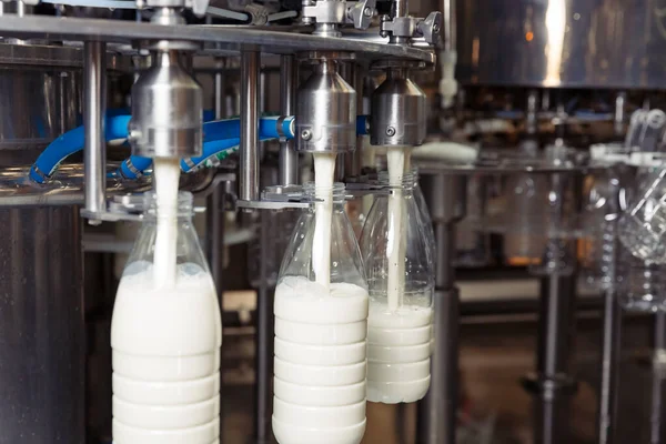 Fabrikadaki plastik şişelere süt dolduruyor. Süt ürünleri fabrikasında.