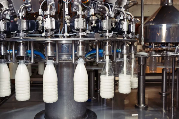 Fabrikadaki plastik şişelere süt dolduruyor. Süt ürünleri fabrikasında.