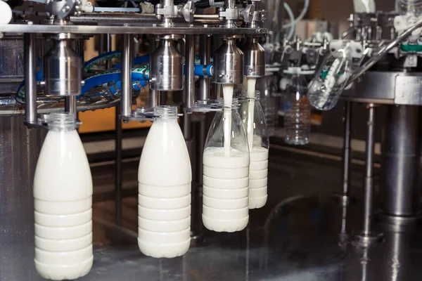 Fabrikadaki plastik şişelere süt dolduruyor. Süt ürünleri fabrikasında.