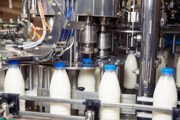 Filling Milk Plastic Bottles Factory Equipment Dairy Plant — Stock Photo, Image