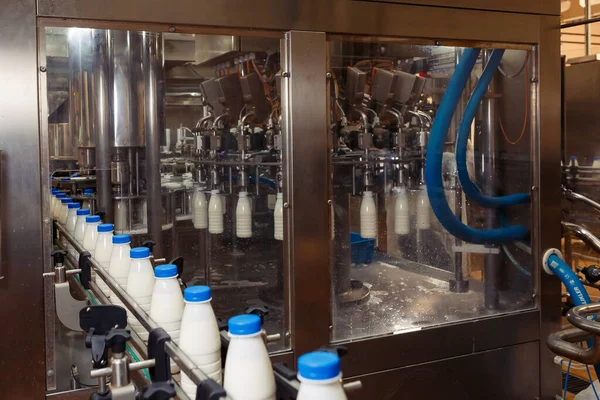 Fabrikadaki plastik şişelere süt dolduruyor. Süt ürünleri fabrikasında.