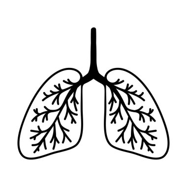 Basit bir el çizimi akciğer çizimi. Beyaz bir arkaplanda izole edilmiş.