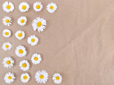 Kahverengi el işi kağıdında papatya çiçekleri..
