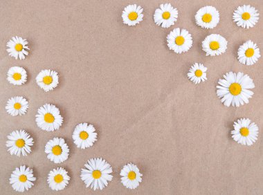 Kahverengi el işi kağıdında papatya çiçekleri..