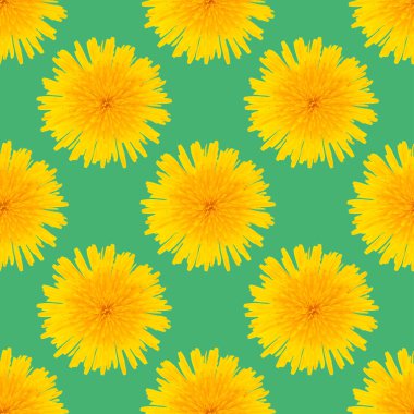 Yeşil arkaplanda karahindiba sarısı çiçeklerden yapılmış kusursuz desen..