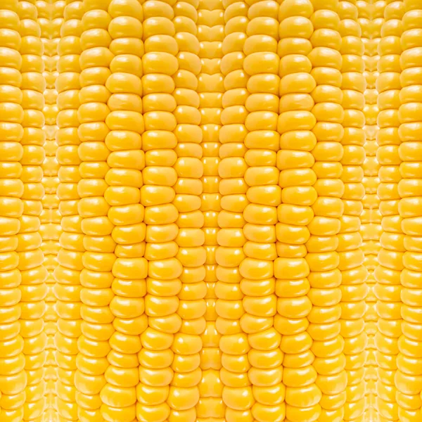 Yellow corn nature pattern, abstract vegetable background — Stock Photo, Image