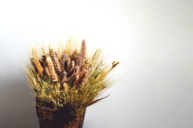 Bir buket kuru ot ve gri arka planda bir sepet dolusu çivi..