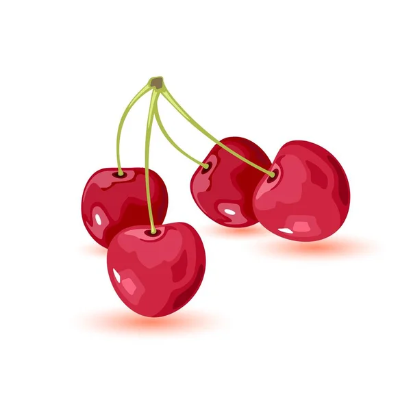 葉で桜を熟す。甘い赤い果実が２つ。白い背景に隔離された漫画のベクトルアイコン. — ストックベクタ
