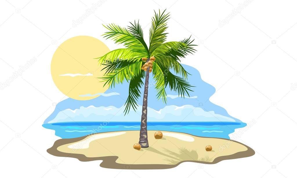 Cartoon coconut on palm tree