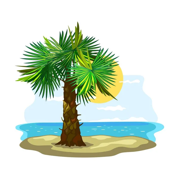 Карикатура цветущая пальма — стоковый вектор