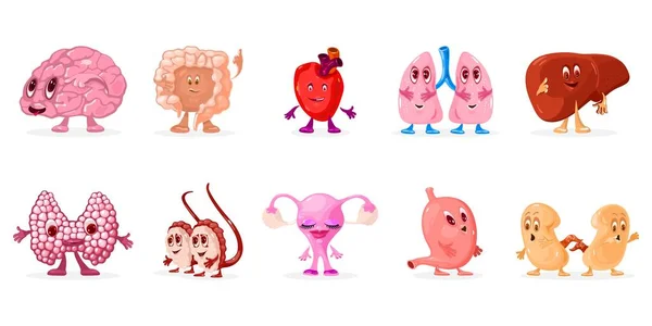 Cartoon interne menselijke organen personages set — Stockvector