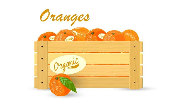 Zacht smakelijke biologische mandarijnen — Stockvector