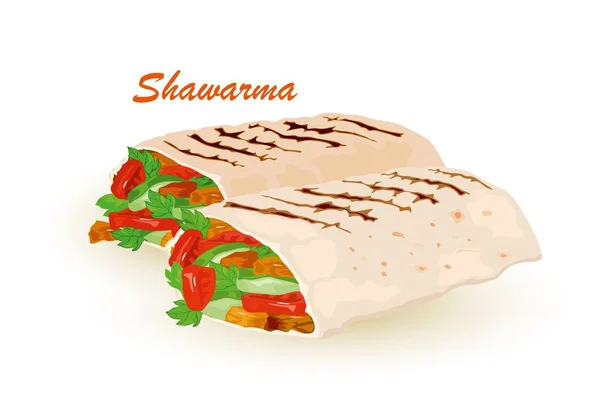 Pair of fresh shawarma dish — Vettoriale Stock